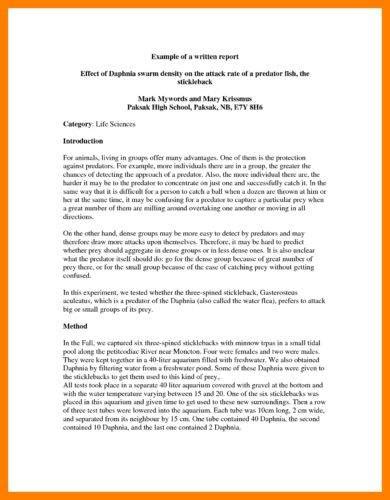how to write a report example for students in english