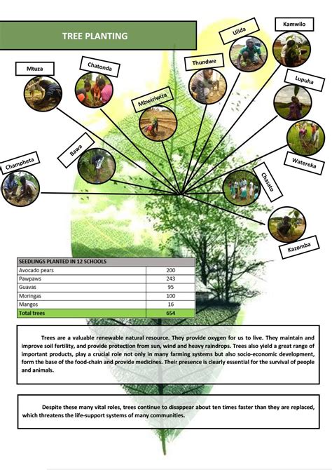 how to write a report on tree planting project pdf
