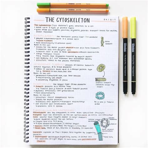 how to write biology notes class 11