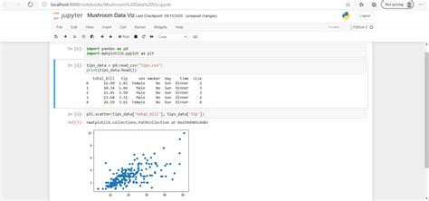 how to write csv file in python jupyter notebook
