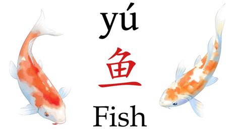 how to write fish in mandarin