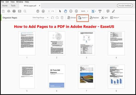 how to write in adobe reader