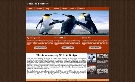 html css example website