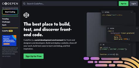 html css home page codepen