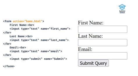 html form data example