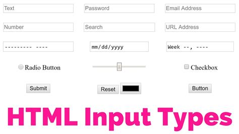 html input sample text