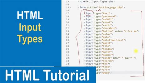html input type example