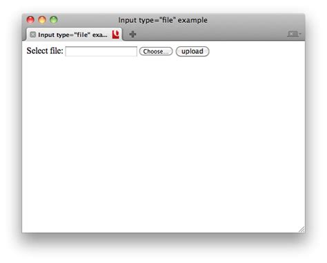 html input type file example