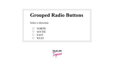 html radio button group example
