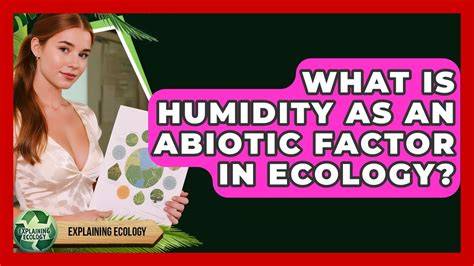 humidity abiotic factor