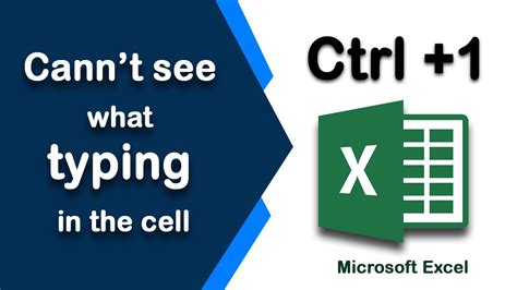 i am typing in excel but nothing appears