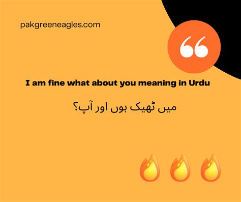 i am understand you meaning in urdu