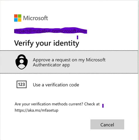 i can't get microsoft authenticator to work