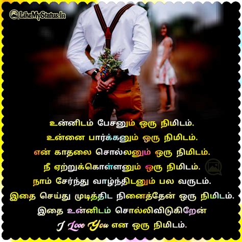 i don't love meaning in tamil