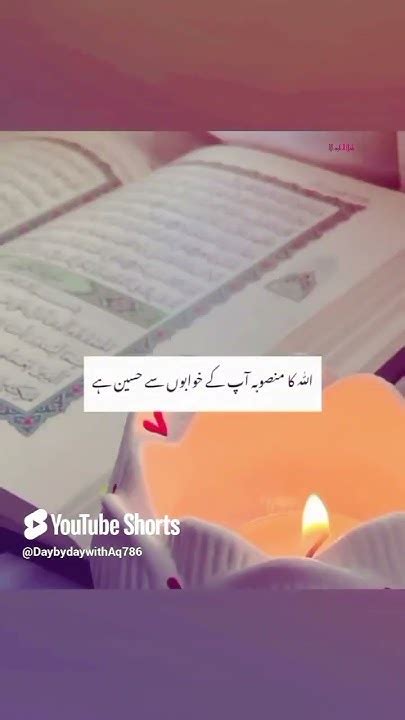 i don t understand in urdu meaning