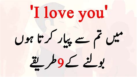 i like you in meaning urdu