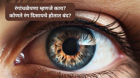 i need to you meaning in marathi