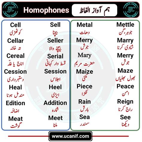 i think you can meaning in urdu