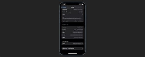iPhone blocked by IMEI