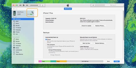iTunes Restore