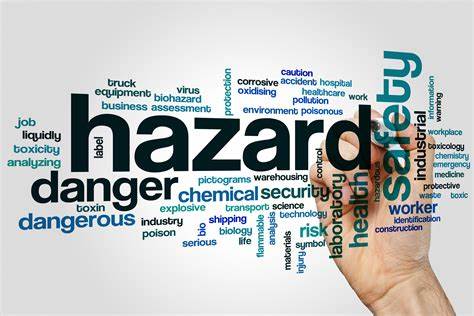 identification of potential hazards and risks