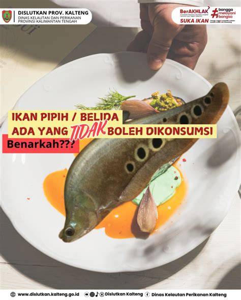 ikan pipih