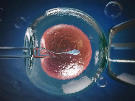 ilustrasi bayi tabung ivf
