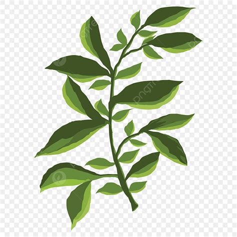 ilustrasi daun