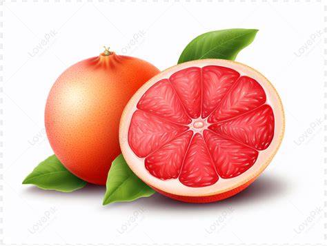 ilustrasi grapefruit