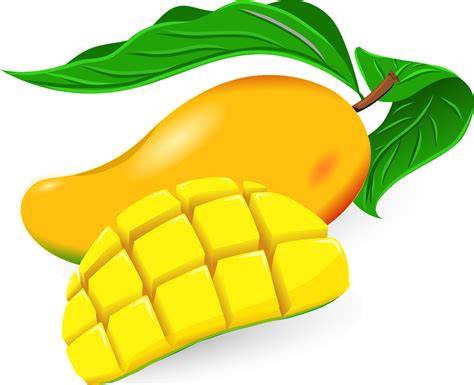 ilustrasi mangga