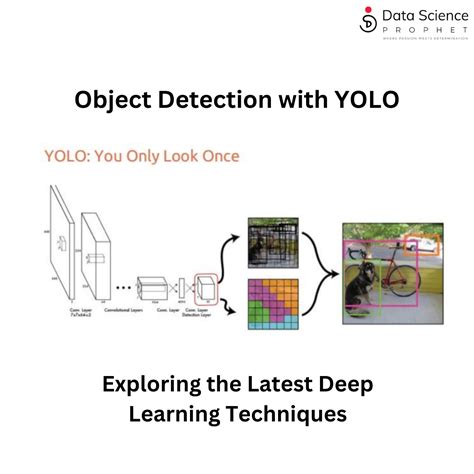 image recognition using yolo