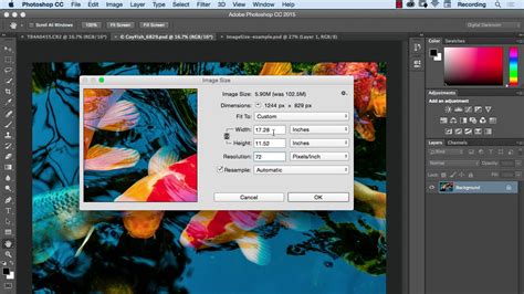 image size and resolution in photoshop