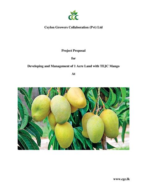 Impact of Mango Project Management
