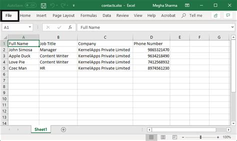 import contact list to excel