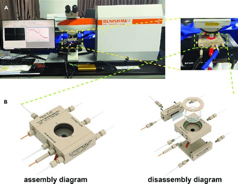 in_situ_surface_enhanced_raman_spectroscopy_detection_in.pdf