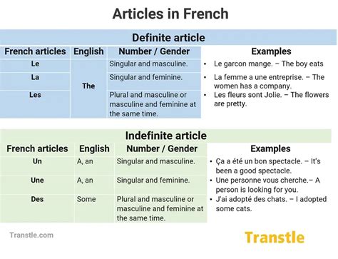 indefinite article examples in french