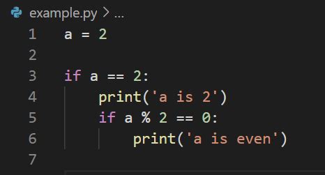 indentation in python with example