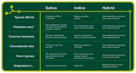 Indica Vs Sativa Chart