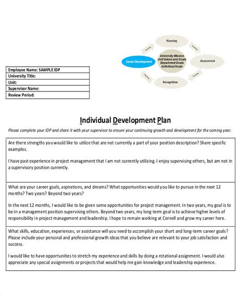 individual project examples