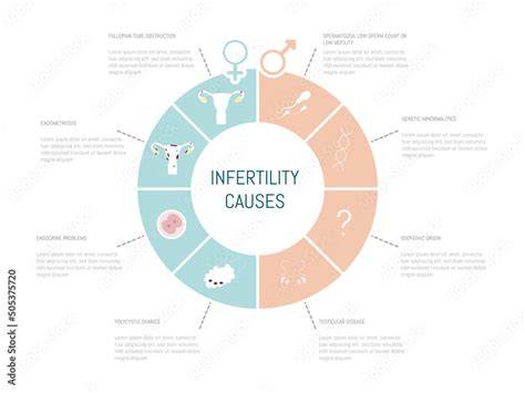 Reasons for IVF