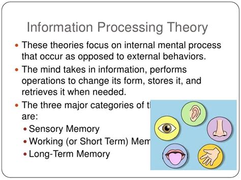 information processing theory definition and examples