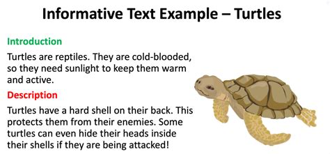 informative text short examples for students