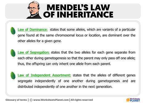 inheritance law