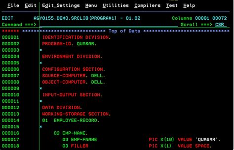 initialize in cobol examples