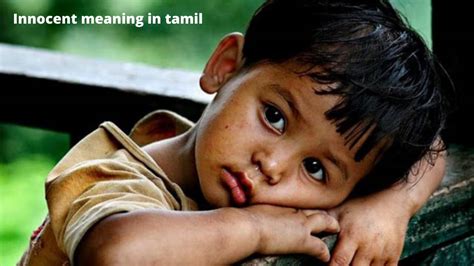 innocent girl with criminal mind meaning in tamil