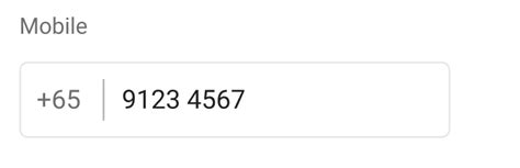 input box with country code in html