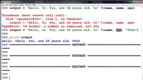 input output code in python