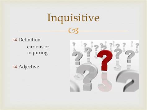 inquisitive meaning in english with example