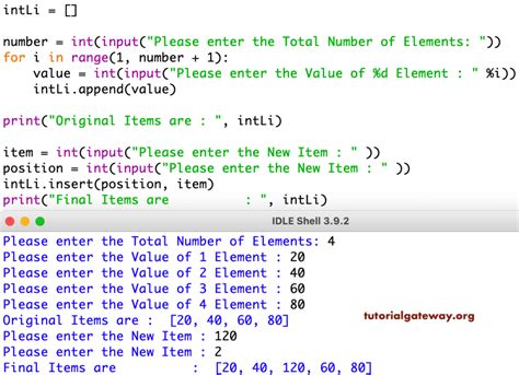insert code into python