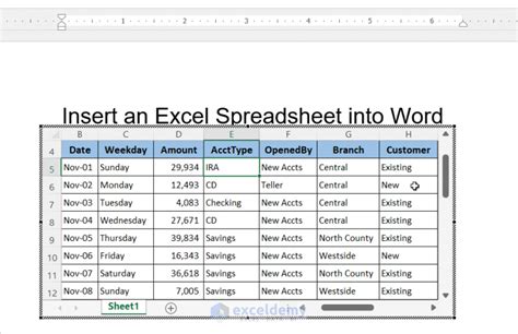 insert excel sheet in word doc